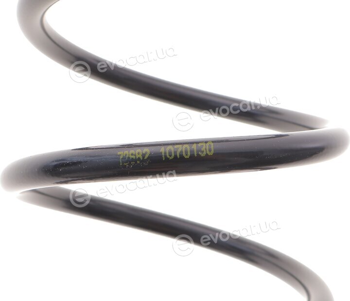Lesjofors 4063416