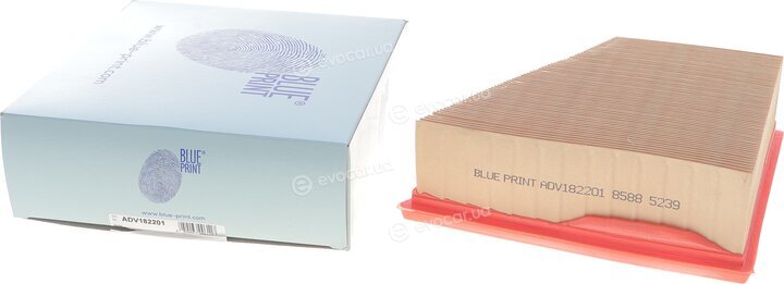 Blue Print ADV182201