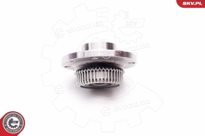 SKV 29SKV012