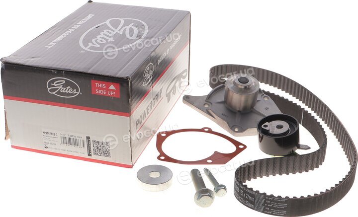 Gates KP25578XS-3