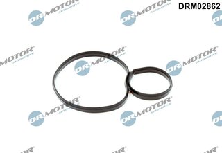 Dr. Motor DRM02862