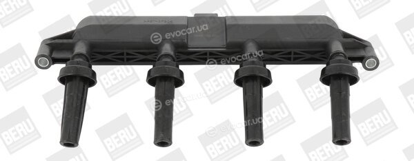 Beru ZS381