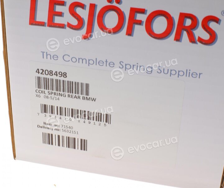 Lesjofors 4208498