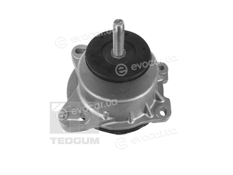 Tedgum 00228940