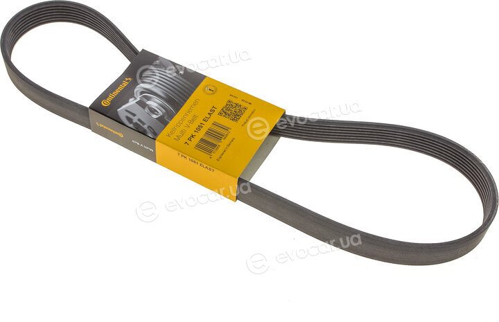 Continental 7PK1051 ELAST