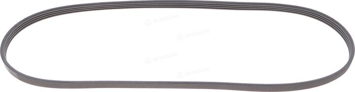 Continental 4PK1119 ELAST