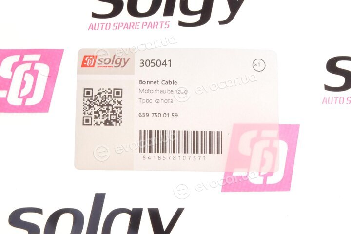 Solgy 305041