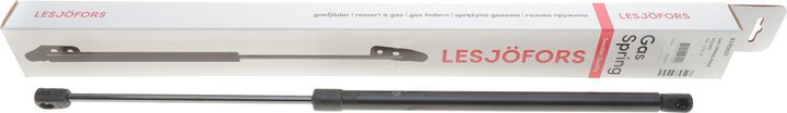 Lesjofors 8195837