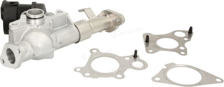 Delphi EG10488