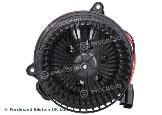 Blue Print ADBP970060