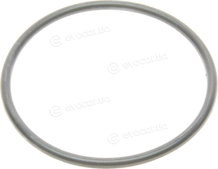 Gates TH01880G1