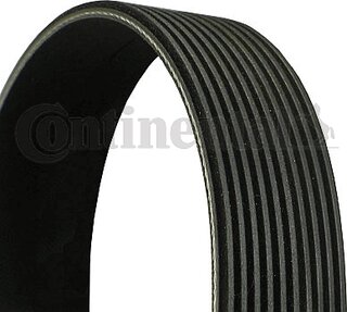Continental 10PK2495