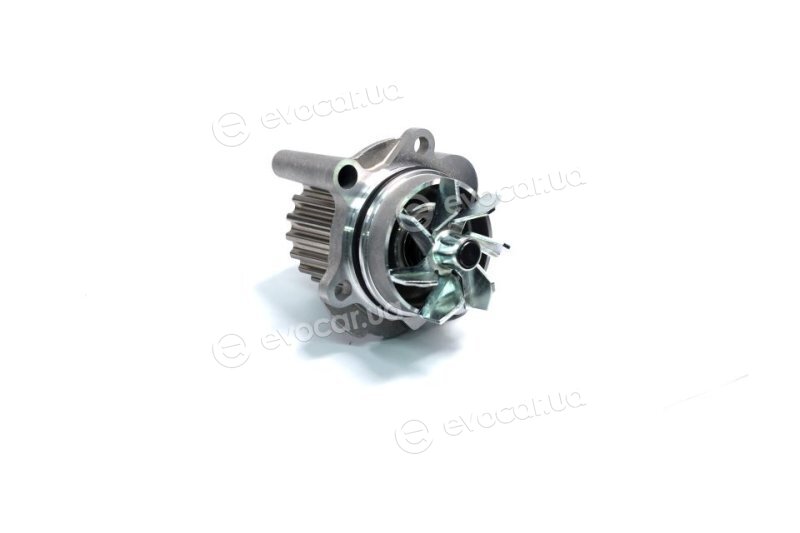 Metelli 24-1355