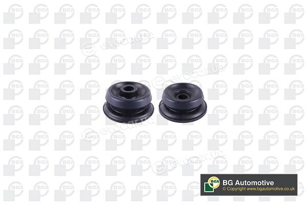 BGA SM5617