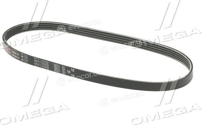 Gates 4PK725XS