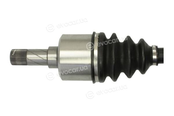 Pascal G2F038PC