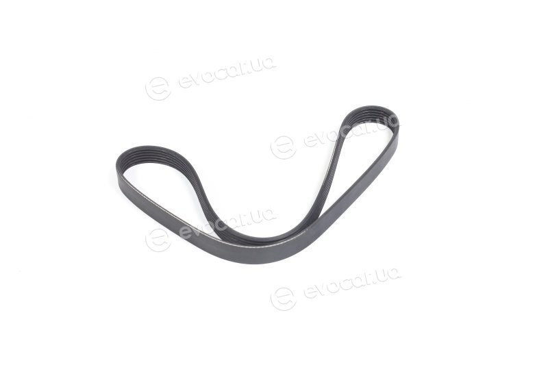 Dayco 6PK1033