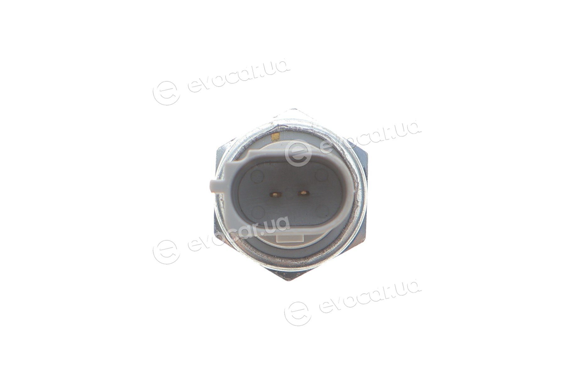 Delphi SW90060