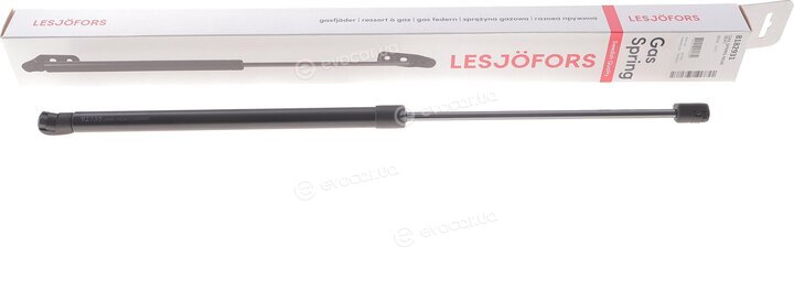 Lesjofors 8182931