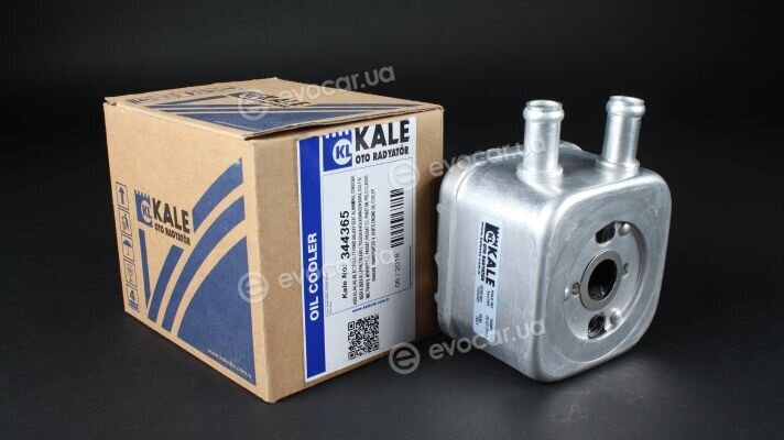 Kale 344365