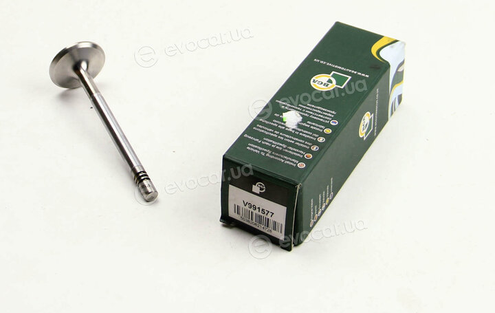 BGA V991577