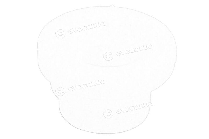 Mopar (PSA / FCA) 504114624