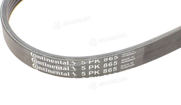 Continental 5PK865