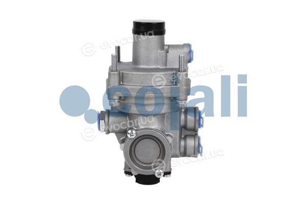 Cojali 2220339