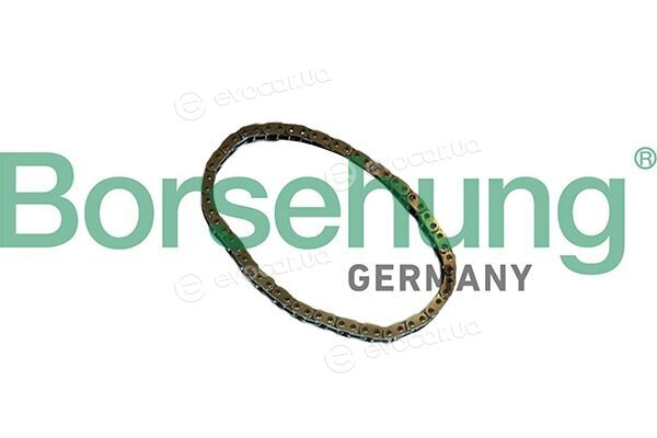 Borsehung B12767