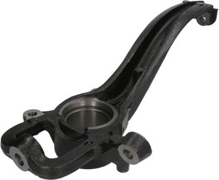 Reinhoch RH08-0066