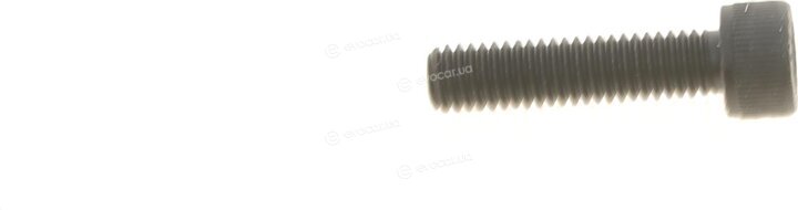 Solgy 216234