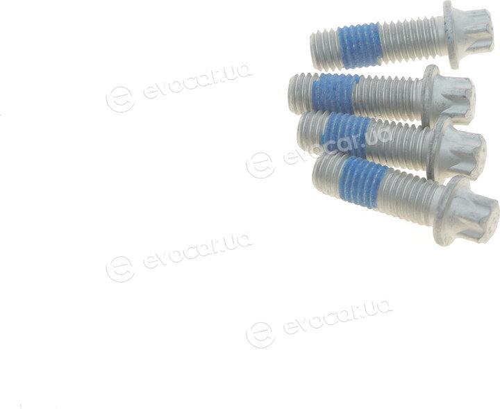 Solgy 216240