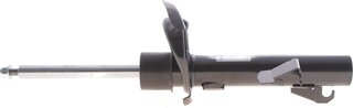 Sachs 313 667