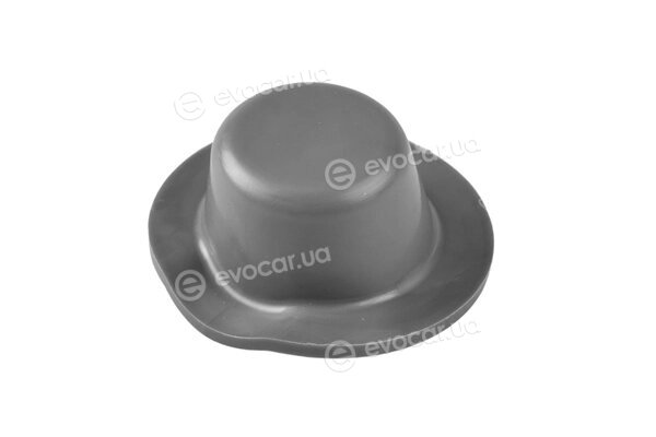 Tedgum TED42938