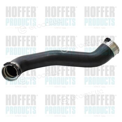 Hoffer 961251