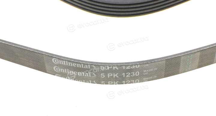 Continental 5PK1230