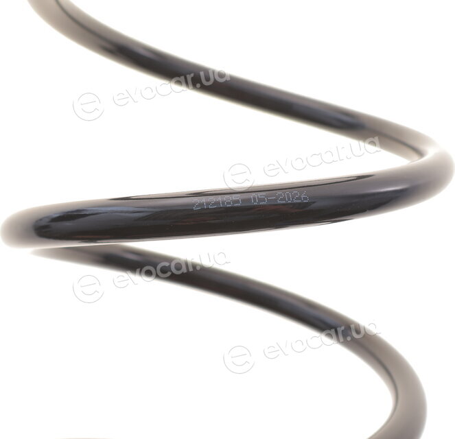 Solgy 212185