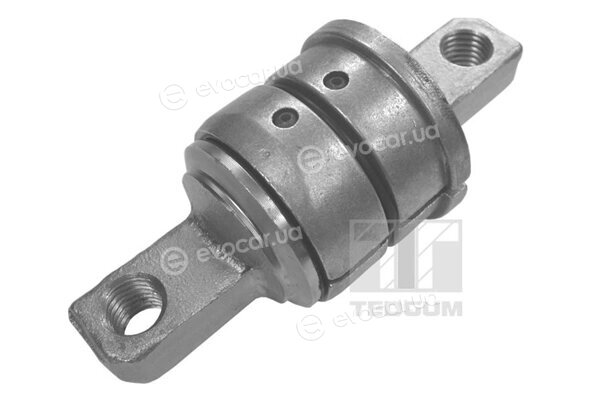 Tedgum 024636