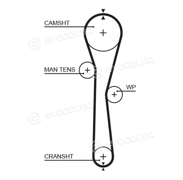 Gates K015577XS