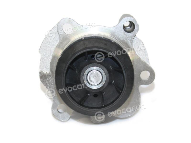 Starline VP V164