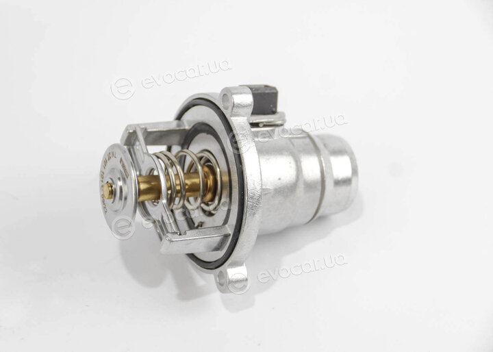 Mahle TM 27 101