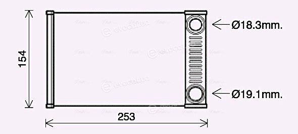 AVA OL6656