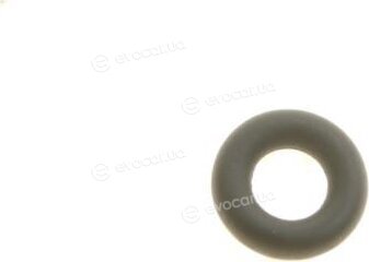 Bosch F00VP01003