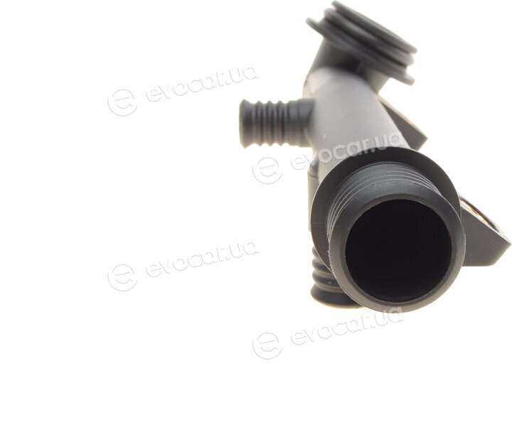 AIC 55924