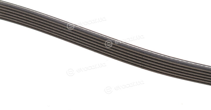 Dayco 6PK2581
