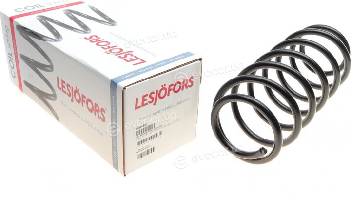 Lesjofors 4004228