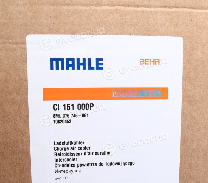 Mahle CI 161 000P