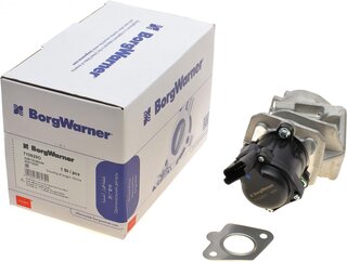 Wahler / BorgWarner 710929D