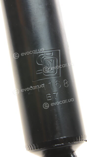 Solgy 211168
