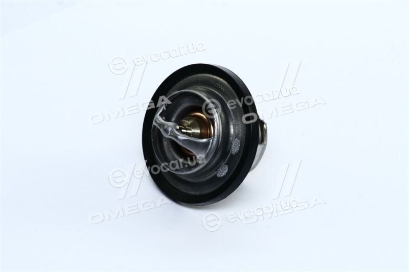 Vernet / Calorstat TH4898.92J